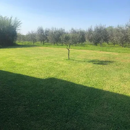 Duspara Apartament